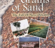 Grains of Sand - A Review